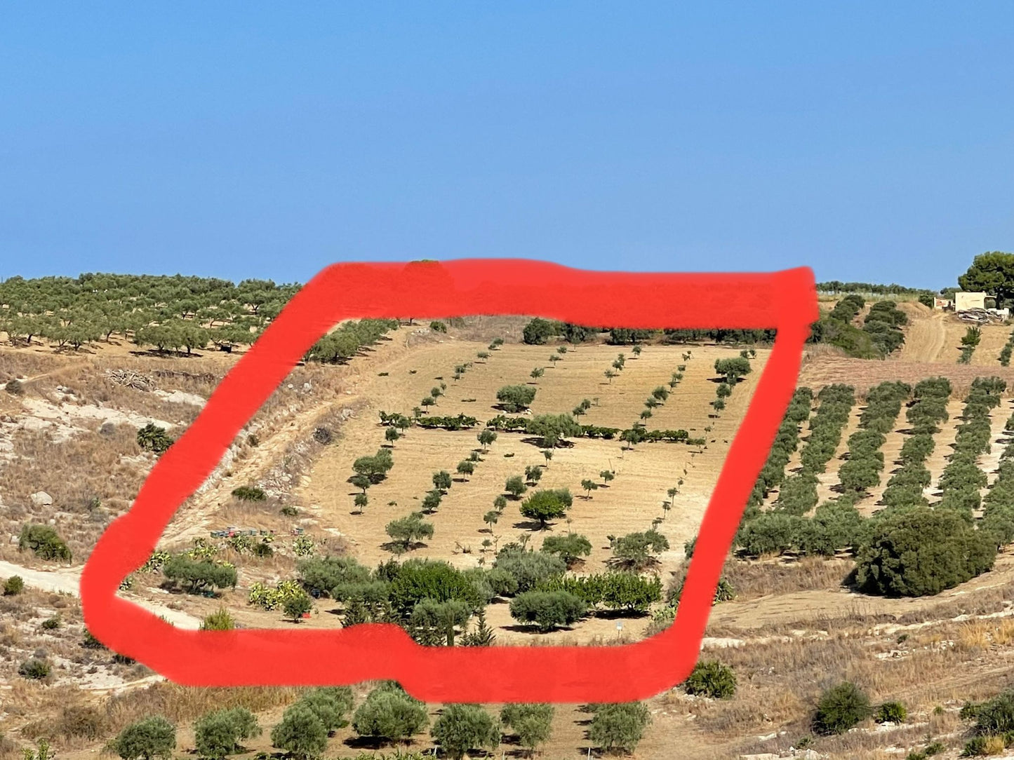 TERRENO PANORAMICO CON VISTA MARE FERRARO - BOVO MARINA (AG)