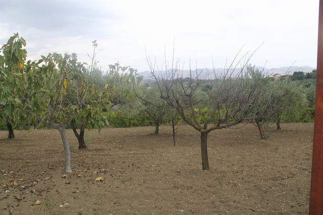 VILLA E TERRENO VINCENZO – CDA CANALARO
