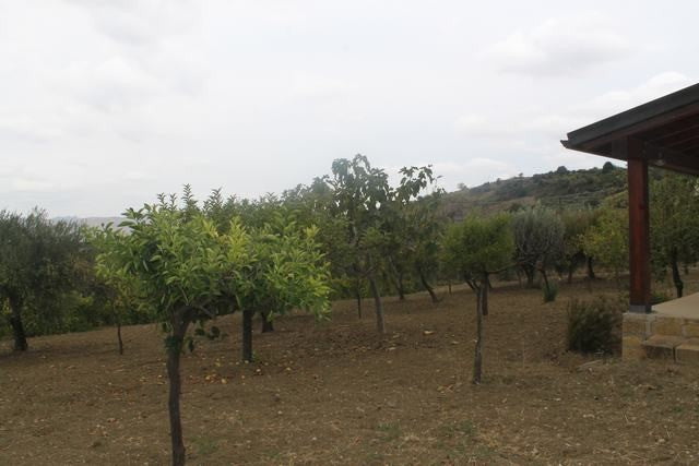 VILLA E TERRENO VINCENZO – CDA CANALARO