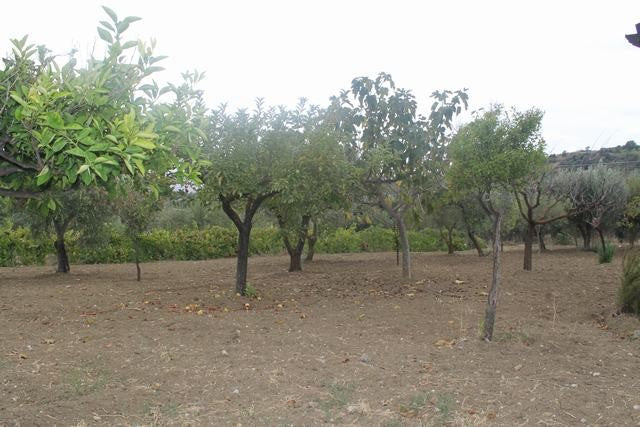 VILLA E TERRENO VINCENZO – CDA CANALARO