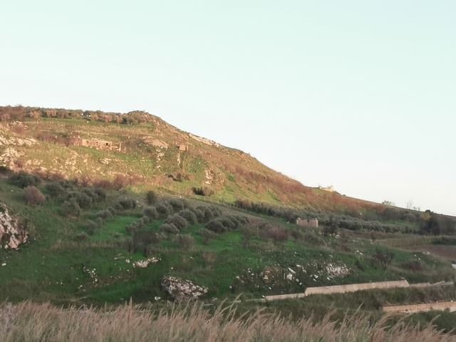 TERRENO GUARINO CDA FERRARIA