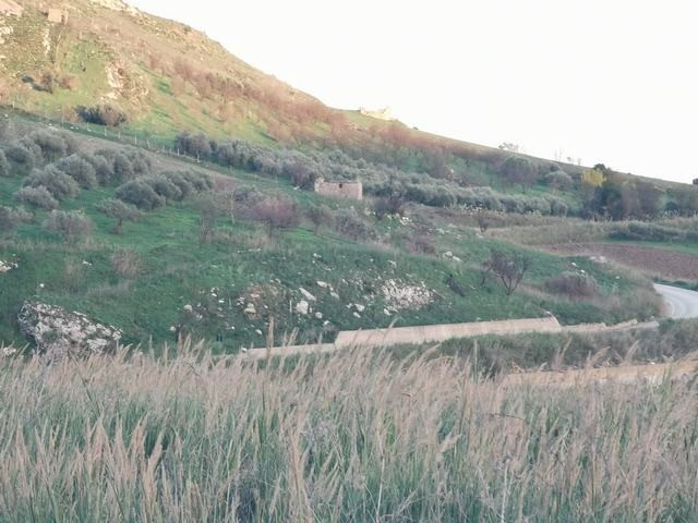 TERRENO GUARINO CDA FERRARIA