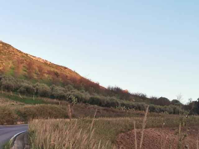 TERRENO GUARINO CDA FERRARIA