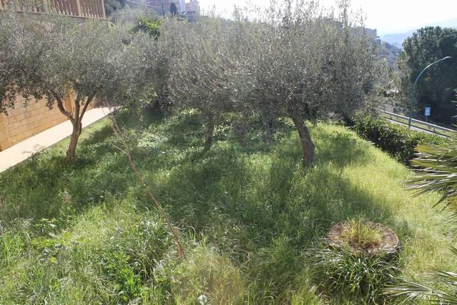 VILLA SILVANA – CORSO VITTORIO EMANUELE