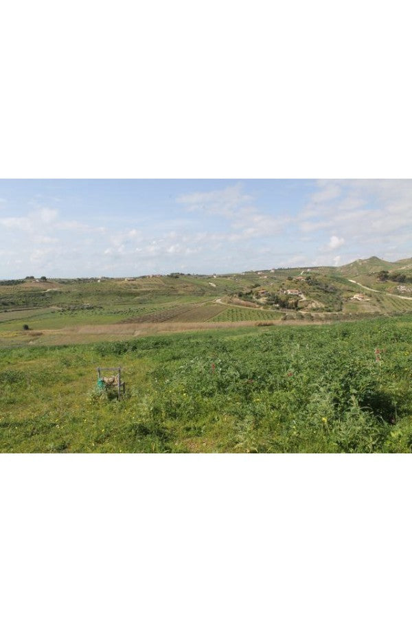 TERENNO PANORAMICO CASOLA – TORRE SALSA (AG)
