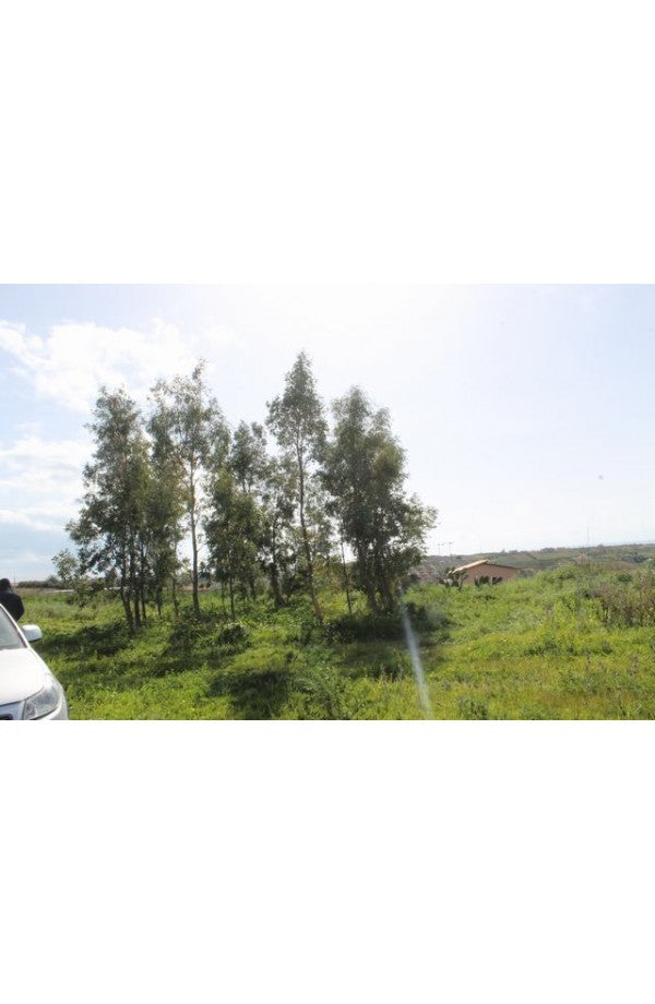 TERENNO PANORAMICO CASOLA – TORRE SALSA (AG)