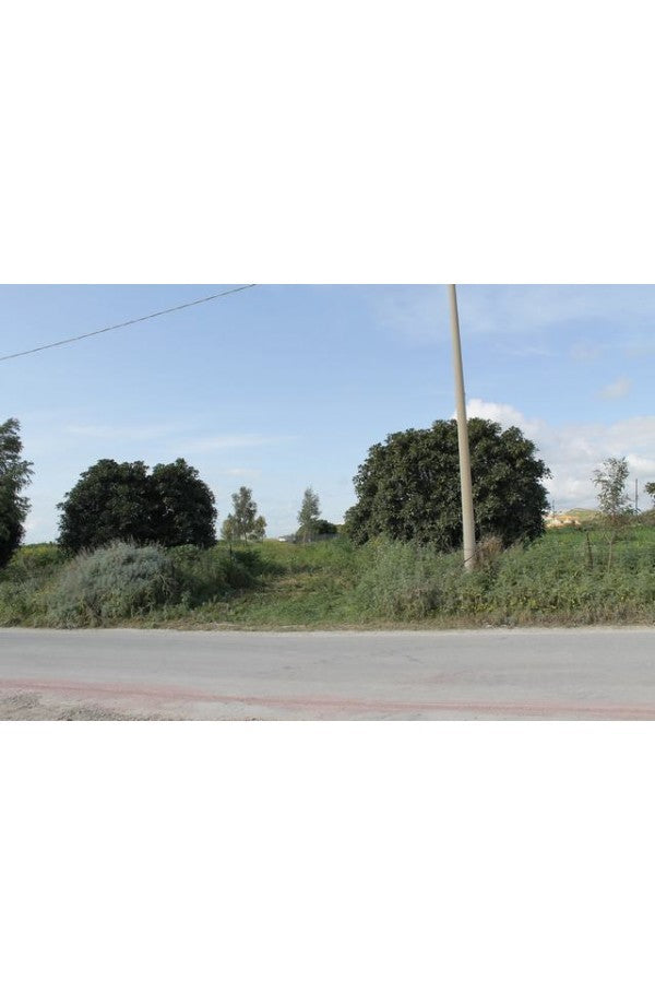 TERENNO PANORAMICO CASOLA – TORRE SALSA (AG)