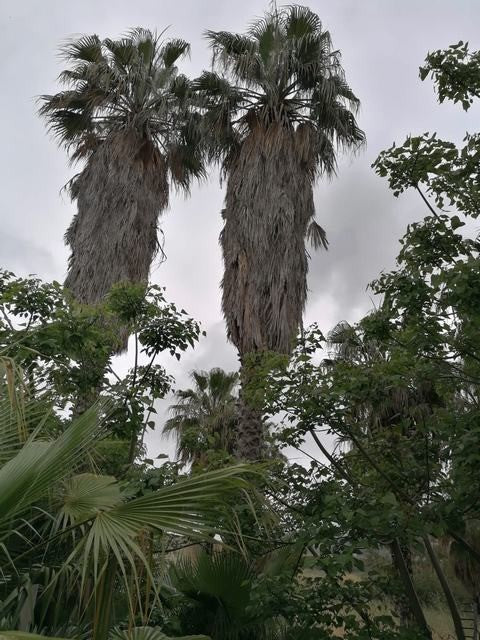 VILLA SPATARO - TORRE MAKAUDA (AG)