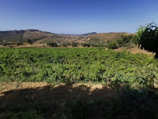 HOUSE AND LAND TAMBURELLO – CDA CASTELLACCIO