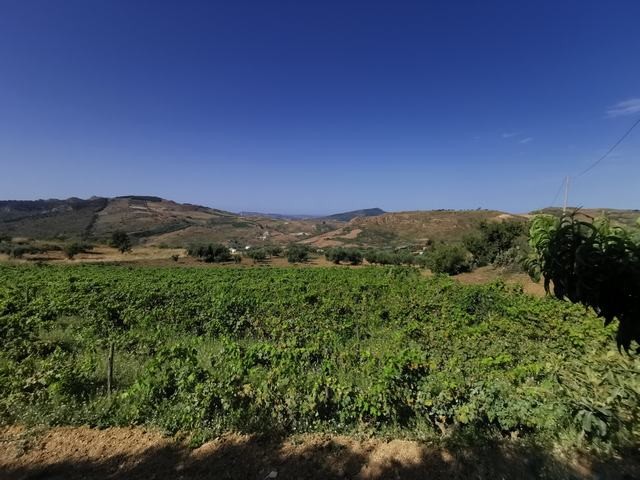HOUSE AND LAND TAMBURELLO – CDA CASTELLACCIO