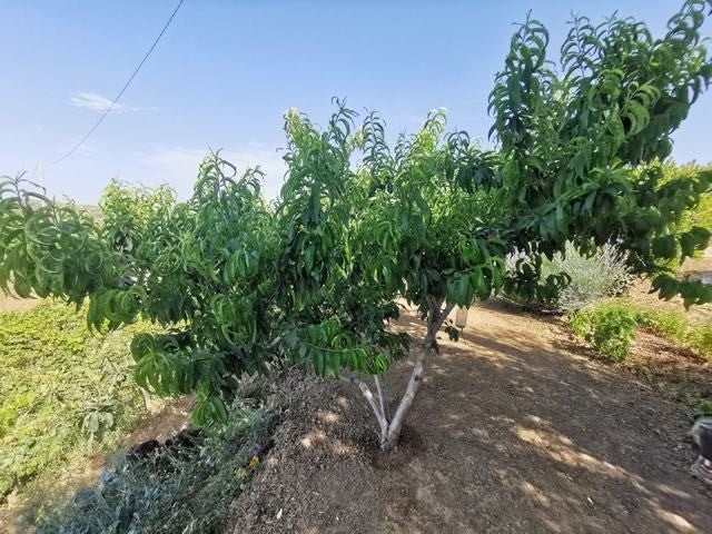 HOUSE AND LAND TAMBURELLO – CDA CASTELLACCIO