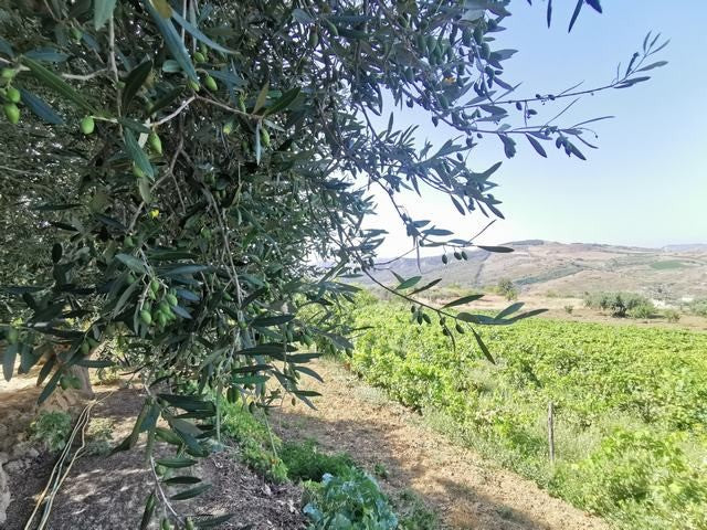 HOUSE AND LAND TAMBURELLO – CDA CASTELLACCIO