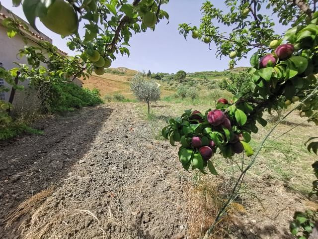 HOUSE AND LAND PERZIA – CDA PETRARO