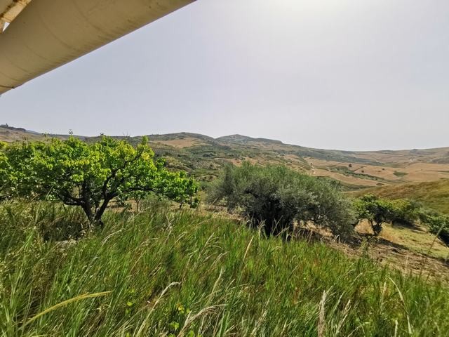 HOUSE AND LAND PERZIA – CDA PETRARO
