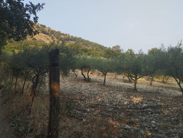 CASA PANORAMICA E TERRENO LETO - SANTO STEFANO QUISQUINA