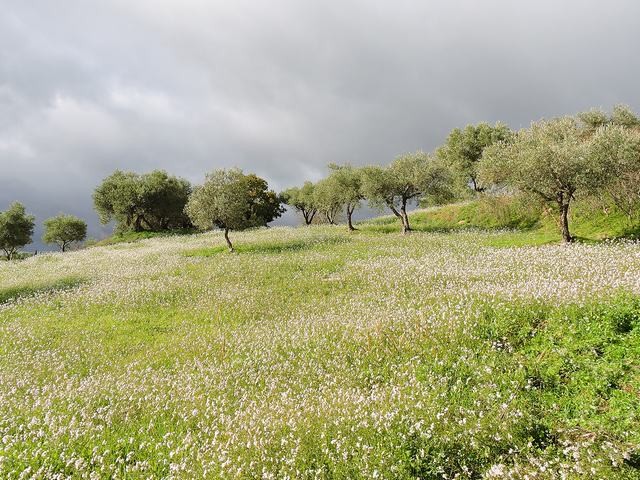 PANORAMIC HOUSE AND LAND CALDERONE CALDARELLE