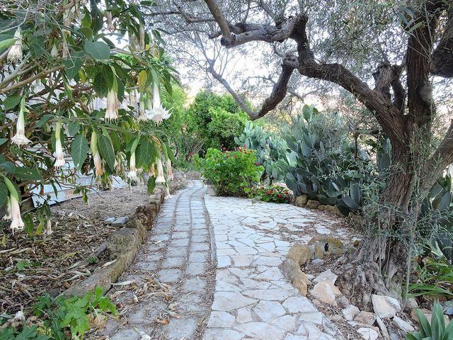 PANORAMIC HOUSE AND LAND CALDERONE CALDARELLE