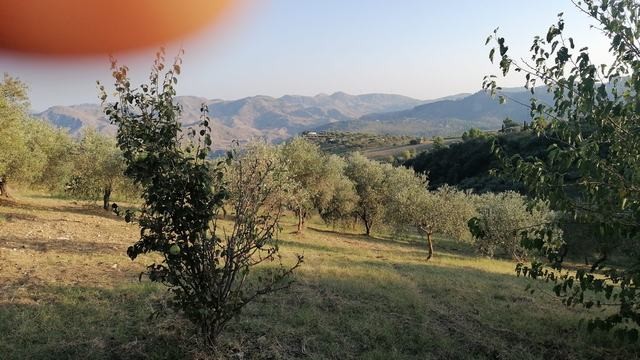 HOUSE AND LAND MARTORANA CDA NANNU