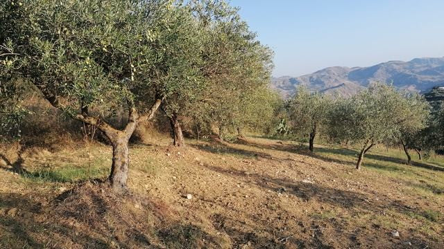 HOUSE AND LAND MARTORANA CDA NANNU