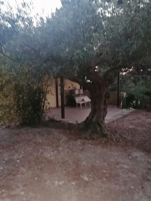 VILLETTA E TERRENO A GIULIANA (PA)