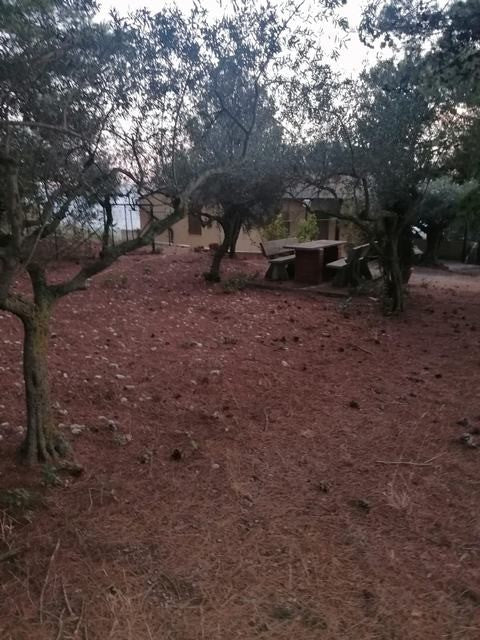 VILLETTA E TERRENO A GIULIANA (PA)