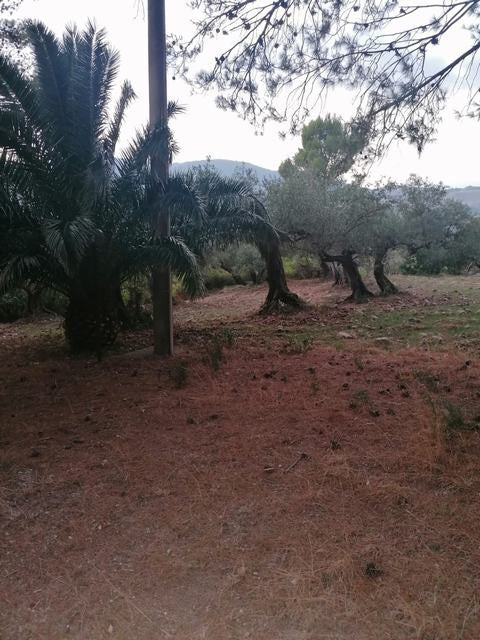 VILLETTA E TERRENO A GIULIANA (PA)