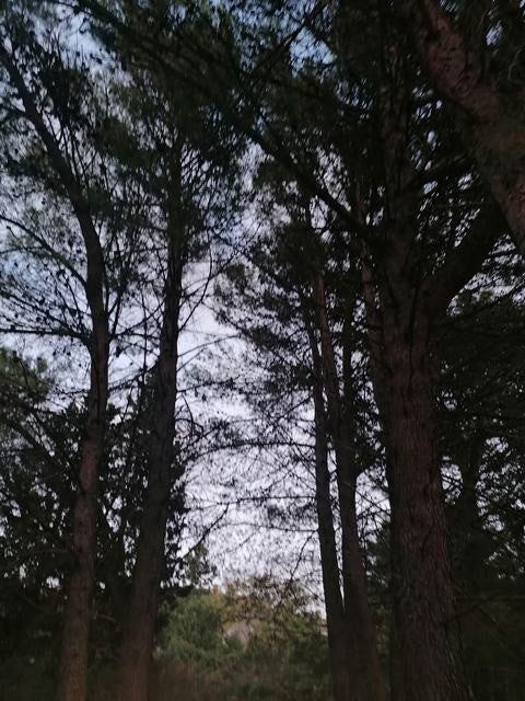 VILLETTA E TERRENO A GIULIANA (PA)