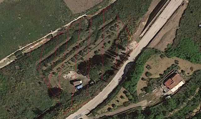 CUFFARO ANTONINO -TERRENO IN CONTRADA ALBANO