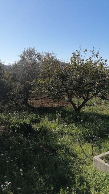VILLA E TERERNO PANORAMICA ACQUISTO CDA CICIROTTI