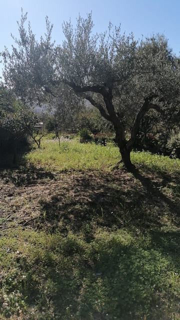 VILLA E TERERNO PANORAMICA ACQUISTO CDA CICIROTTI