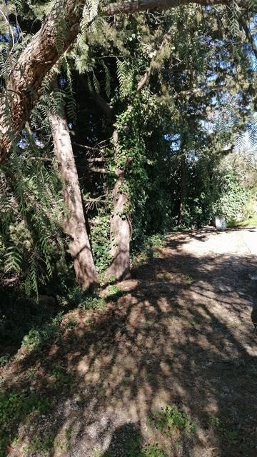 VILLA E TERERNO PANORAMICA ACQUISTO CDA CICIROTTI