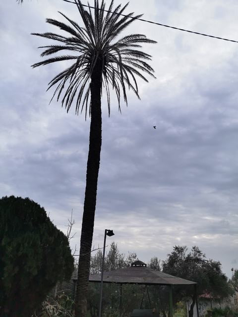 VILLA CON GIARDINO - VILLA FELICE
