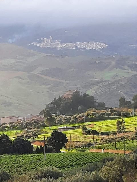 CASA VIA DOLCE - ALIMMINUSA (PA)