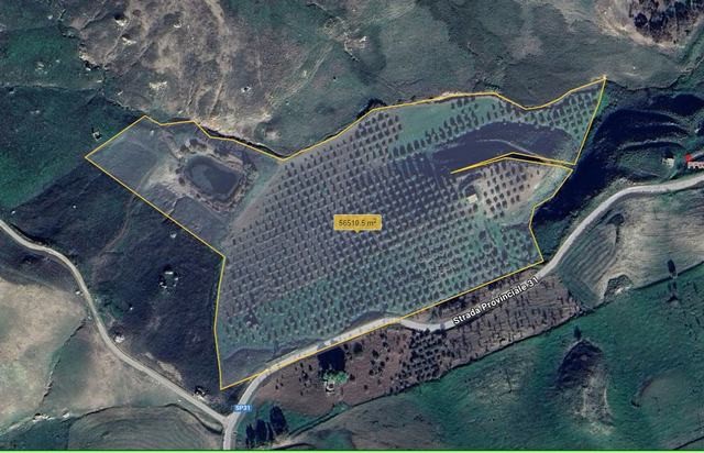 TERRENO BISSANA CON CASA COLONICA E LAGO