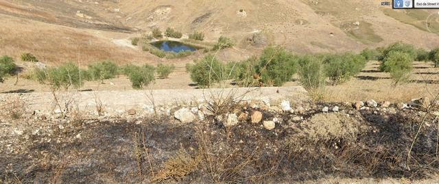 TERRENO BISSANA CON CASA COLONICA E LAGO
