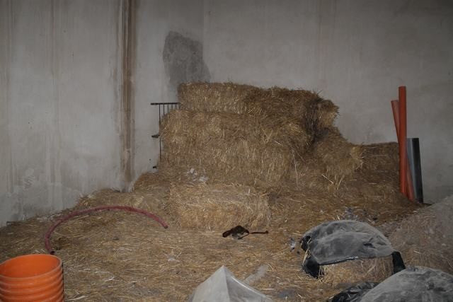 MAGAZZINO CIRAOLO – ARAGONA (AG)
