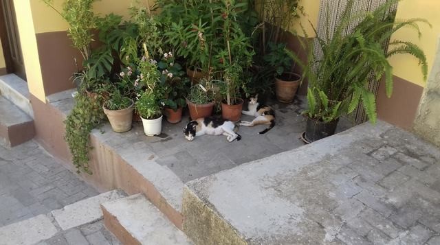 CASA MIYUKI – VIA ROMA (PIANO TERRA E PRIMO PIANO)