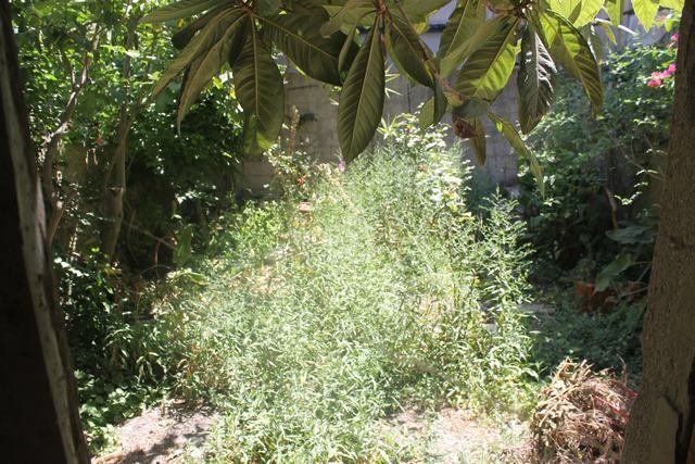 HOUSE WITH GARDEN – CALDARA SAN BIAGIO PLATANI (AG)