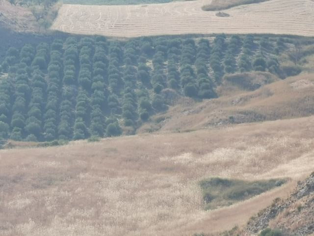 TERRENO GUIDA – CDA BALATA