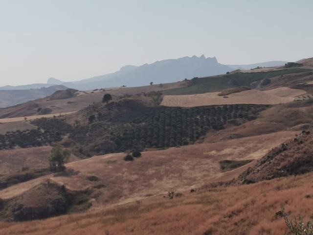 TERRENO GUIDA – CDA BALATA