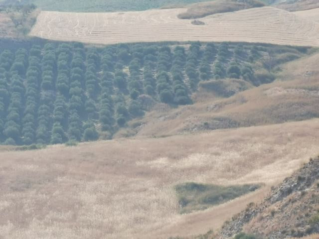 TERRENO GUIDA – CDA BALATA