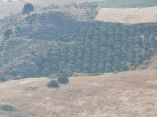 TERRENO GUIDA – CDA BALATA
