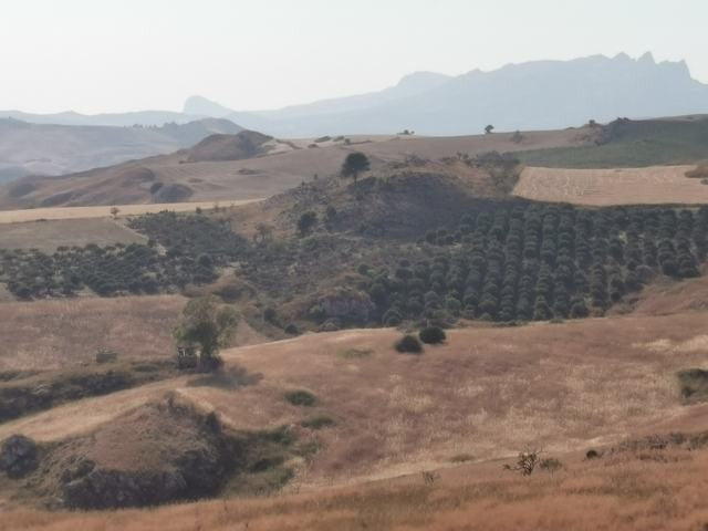 TERRENO GUIDA – CDA BALATA