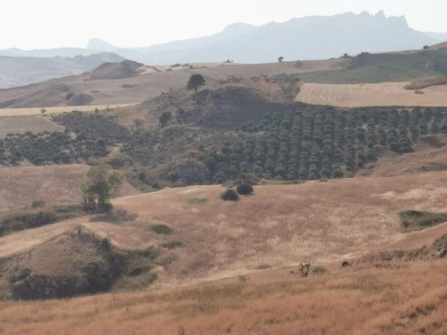 TERRENO GUIDA – CDA BALATA
