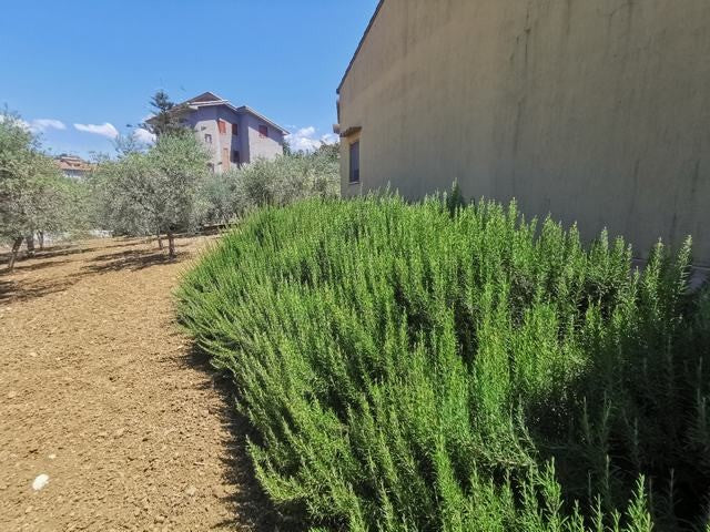 HOUSE AND LAND GUIDA - CORSO CINQUEMANI ARCURI