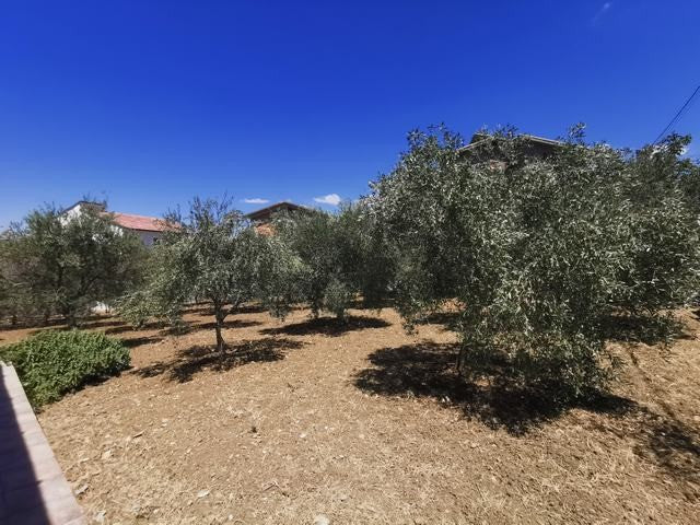 HOUSE AND LAND GUIDA - CORSO CINQUEMANI ARCURI