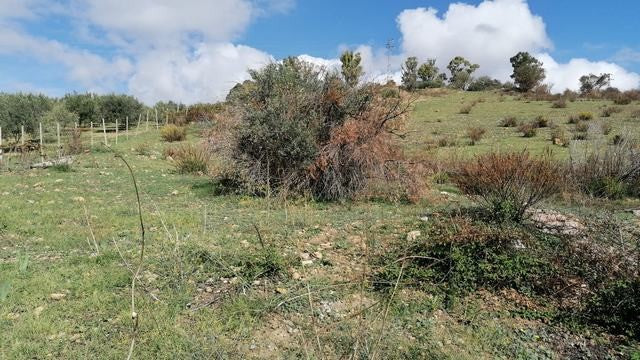 TERRENO E CASA CINQUEMANI VIA UGO FOSCOLO