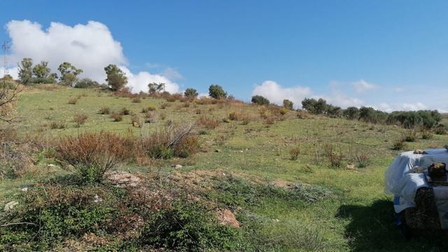 TERRENO E CASA CINQUEMANI VIA UGO FOSCOLO