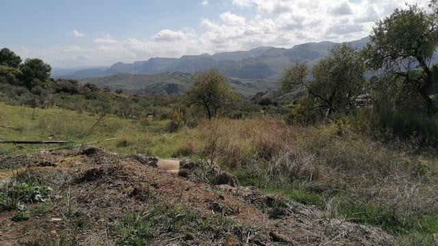 TERRENO E CASA CINQUEMANI VIA UGO FOSCOLO