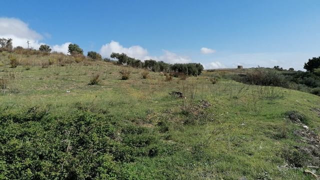 TERRENO E CASA CINQUEMANI VIA UGO FOSCOLO